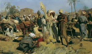 Sugar Cane Market