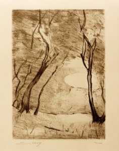 Trees on the Shore of Grunewaldsee