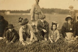 Annette Roy said to be 7 and Napoleon Ruel said to be 9 picking cranberries at Smart