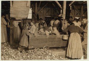 Bill May, Aged 5 who Makes 15 Cents a Day, in the Shucking Shed at Barataria Canning Company, Biloxi, Mississippi by Lewis Wickes Hine