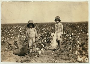 Jewel and Harold Walker, 6 and 5 years old, pick 20 to 25 pounds of cotton a day at Geronimo, Comanche County Oklahoma, 1916 by Lewis Wickes Hine