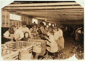 Rosy Aged 8 Works a 14 Hour Day as an Oyster Shucker at Dunbar Cannery, Louisiana, 1911 by Lewis Wickes Hine