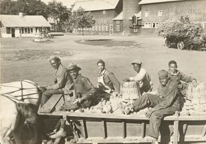 Untitled by Lewis Wickes Hine