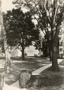 Untitled by Lewis Wickes Hine