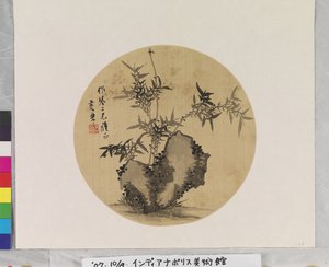 Bamboo and Rock