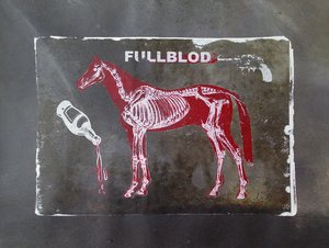 Fullblood Equine Skeleton