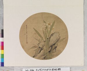 Narcissus And Rock