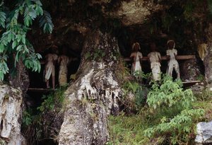 Funeral Niches with Tau Tau Mortuary Figures, Marrante Village, Tana Toraja, Sulawesi Island, Indonesia by Unbekannt Unbekannt