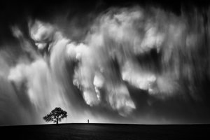 Dramatic Sky Lone Tree