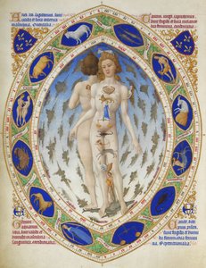 Très Riches Heures du Duc de Berry: Anatomical Man by Limbourg Brothers