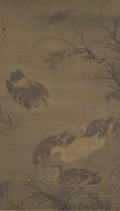Swimming Geese