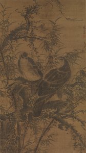 Two hawks in a thicket