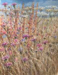 Scabious and Docks