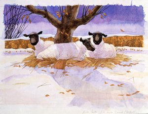 Sheep in the Snow