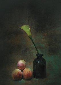 Moody Calla Lily Still Life