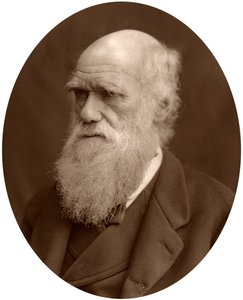 Charles Darwin