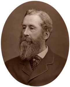 Duke of Abercorn, Lord Lieutenant of Ireland, 1876 by Lock and Whitfield