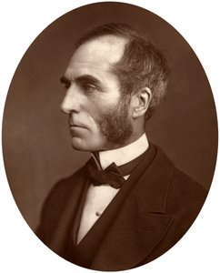 Goldwin Smith, Professor
