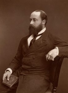HRH the Prince of Wales, 1876 by Lock and Whitfield