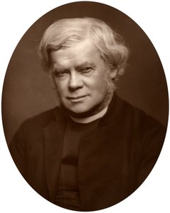 Reverend John Saul Howson, Dean of Chester by Lock and Whitfield