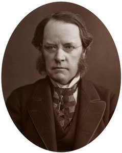 Right Hon Lyon Playfair, CB, LLD, FRS, Scottish chemist and politician, 1877 by Lock and Whitfield