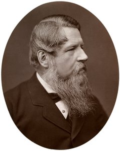 Right Hon Sir Stafford Henry Northcote, Bart, MP, Chancellor of the Exchequer, 1877 by Lock and Whitfield