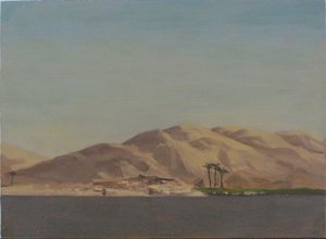Four Palms on Verdant Field Near Nile