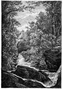 Mountain Stream with Rocks and Waterfall in the Middle of a Forest by Léon Benett