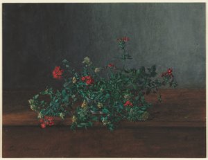 Still Life with Wild Flowers by Léon Bonvin