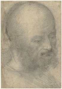 Head of an Old Man with Beard by Lorenzo Costa
