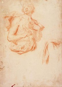 Young Man, Half Length with Bared Torso, and a Drapery Study