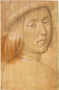 Head of a Youth by Lorenzo di Credi