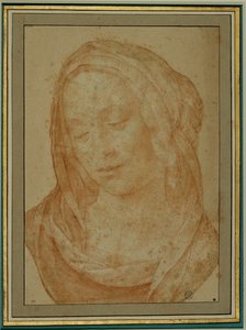 Portrait of a Woman with Veil