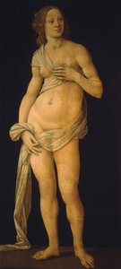 Venus by Lorenzo di Credi