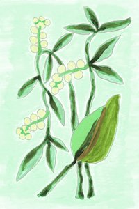 Fresh Botanical Greenery