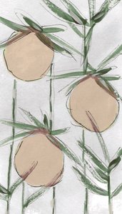 Fresh Painterly Peaches by Lori Ann Folz