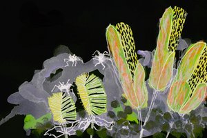Glowing Night Garden