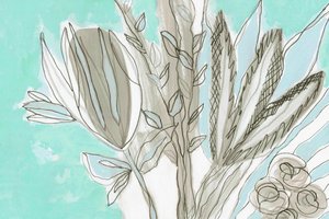 Modern Teal Botanicals