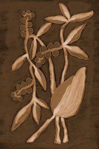 Organic Sepia Botanicals