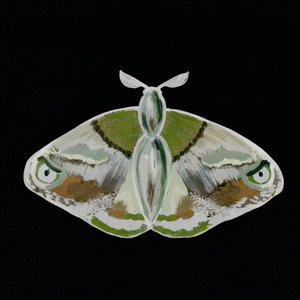 Striking Green Moth by Lori Ann Folz