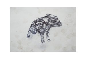 Little Pig by Lou Gibbs