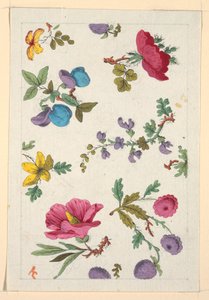 Floral Design for Printed Textile