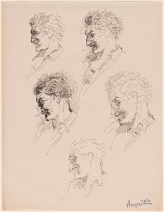 Head Studies