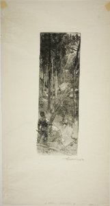 Falling Pines by Louis Auguste Lepère