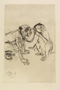 Comparative Anatomy by Louis Auguste Mathieu Legrand