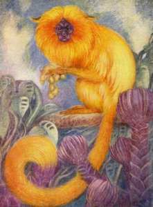 At the Zoo: Mamoset Monkey by Louis Augustus Sargent