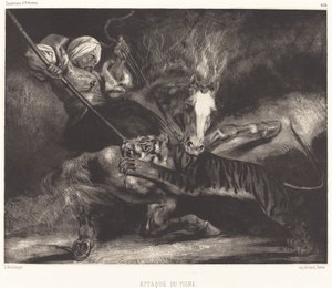 Tiger Attack