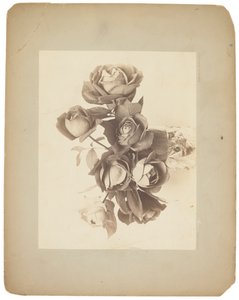 Tiffany Studios