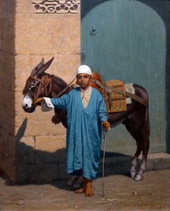 Child and his donkey