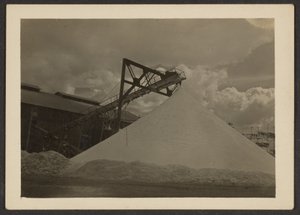 Borax Mill, Trova, CA by Louis Fleckenstein